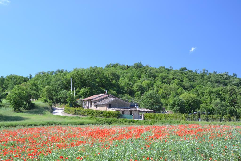 Casa Nestore Holiday Apartments Castiglione della Valle Esterno foto